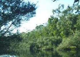 Breakaway Creek ACT SA Accommodation
