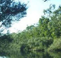 Crawford River Regional Park - SA Accommodation