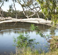 Murray Valley National Park - SA Accommodation