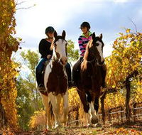 Billabong Ranch - SA Accommodation