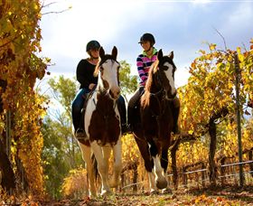 Billabong Ranch - SA Accommodation 0