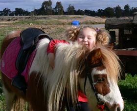 Billabong Ranch - SA Accommodation 1