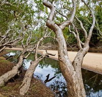 Oyala Thumotang National Park CYPAL - SA Accommodation