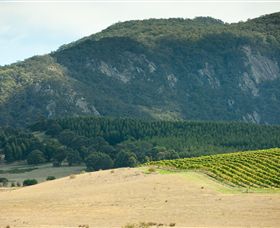 Langi Ghiran State Park - SA Accommodation 0