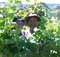 Wimmera Hills Winery - SA Accommodation