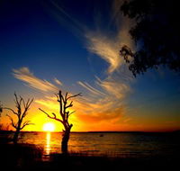 Lake Cowal - SA Accommodation