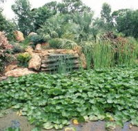Mackenzie Park - SA Accommodation