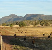 Emu Logic - SA Accommodation