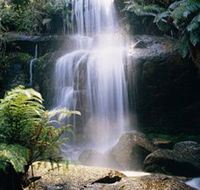Mount Buangor State Park - SA Accommodation