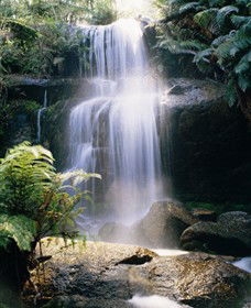 Mount Buangor State Park - SA Accommodation 0