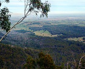 Mount Buangor State Park - SA Accommodation 2