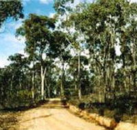 Paddys Ranges State Park - SA Accommodation