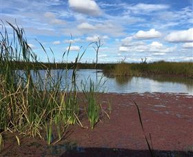 Gwydir Wetlands - SA Accommodation 0