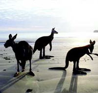 Hibiscus Coast - SA Accommodation