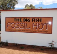 Big Fish Fossil Hut at Peak Hill - SA Accommodation