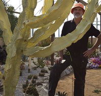 Cactus Country - SA Accommodation