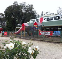 The Big Strawberry - SA Accommodation