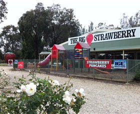 The Big Strawberry - SA Accommodation 0
