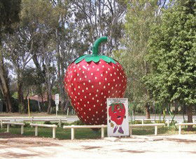The Big Strawberry - SA Accommodation 1
