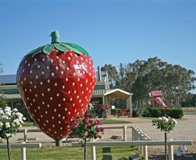 The Big Strawberry - SA Accommodation 2