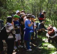 Warrumbungle National Park Discovery Program - SA Accommodation