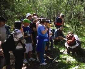 Warrumbungle National Park Discovery Program - SA Accommodation 0