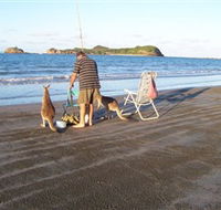 Cape Hillsborough National Park - SA Accommodation