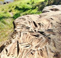 Terramungamine Rock Grooves - SA Accommodation