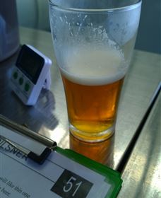 Goanna Brewing - SA Accommodation 1