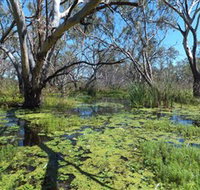 Macquarie Valley Trails - SA Accommodation