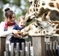 Taronga Western Plains Zoo Dubbo - SA Accommodation