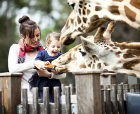 Taronga Western Plains Zoo, Dubbo - SA Accommodation 0