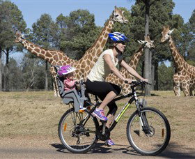 Taronga Western Plains Zoo, Dubbo - SA Accommodation 2