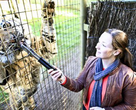 Taronga Western Plains Zoo, Dubbo - SA Accommodation 3