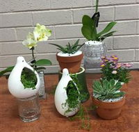 Cobram Florist - SA Accommodation