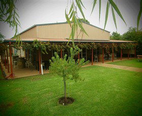 Red Earth Estate Vineyard - SA Accommodation 2