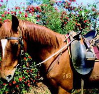 Western Plains Riding Centre - SA Accommodation