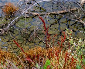 Cussen Park - SA Accommodation 1