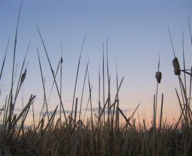 Cussen Park - SA Accommodation 3