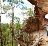 Pilliga National Park - SA Accommodation