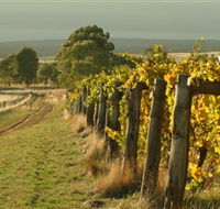 Captains Creek Organic Wines - SA Accommodation