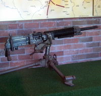 Woodpecker Gun - SA Accommodation