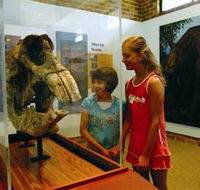 Australian Museum Diprotodon Exhibition - SA Accommodation