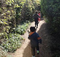 The Tangled Maze  Mistydowns Nursery - SA Accommodation