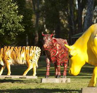 Greater Shepparton's Moooving Art - SA Accommodation