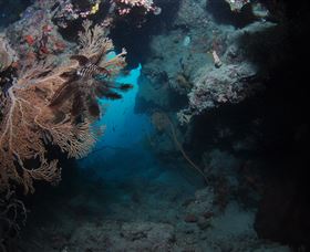 Luncheon Bay Dive Site - SA Accommodation 2