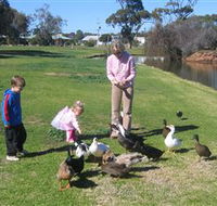 Roy Little Park Merredin - SA Accommodation