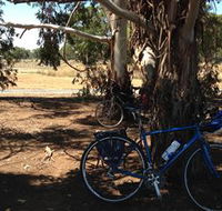 Murchison Rail Trail - SA Accommodation