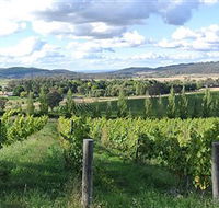 Sassy Wines - SA Accommodation