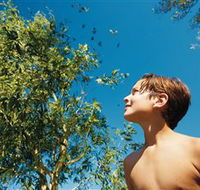 Bushwalking on Keswick Island - SA Accommodation